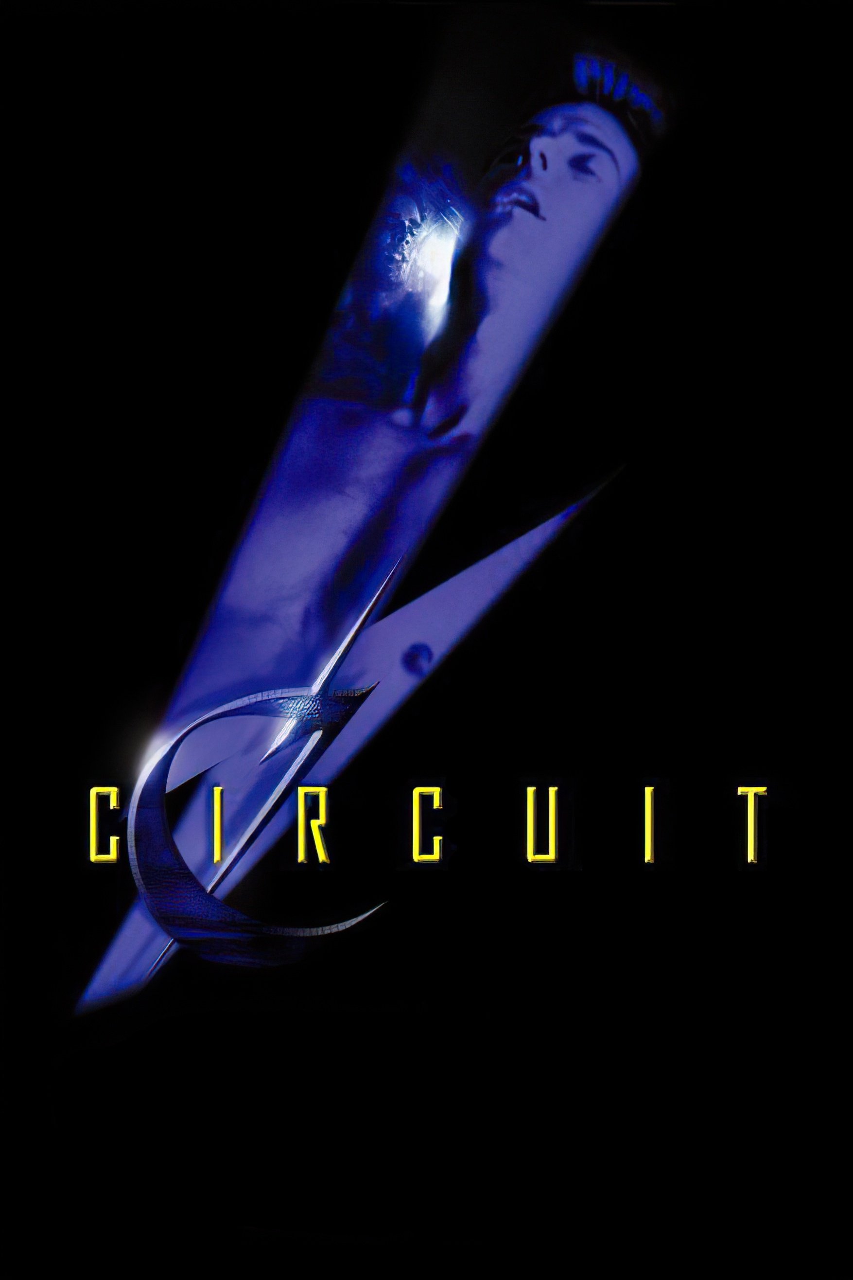 Постер Circuit